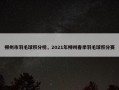 柳州市羽毛球积分榜，2021年柳州春季羽毛球积分赛