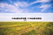 十米台跳水积分榜（十米台跳水排名）