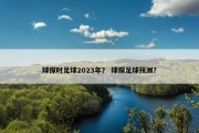 球探时足球2023年？ 球探足球预测？