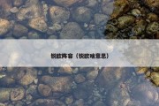 锐欧阵容（锐欧啥意思）