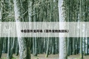 中超张外龙开场（张外龙教练团队）