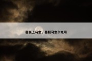 曼联上马奎，曼联马奎尔几号