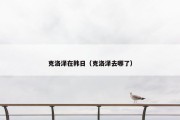 克洛泽在韩日（克洛泽去哪了）