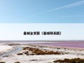 曼城全家照（曼城球员照）