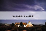 湖人小牛最终，湖人小牛比赛