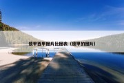 德甲西甲图片比图表（德甲的图片）