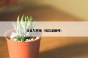 埃瓦尔昨晚（埃瓦尔换帅）