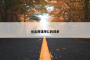 包含阴谋拜仁的词条