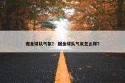 掘金球队气氛？ 掘金球队气氛怎么样？