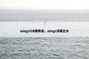 wingsti决赛阵容，wings决赛比分