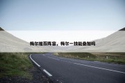 梅尔推荐阵容，梅尔一技能叠加吗