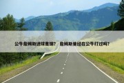 公牛詹姆斯进球集锦？ 詹姆斯曾经在公牛打过吗？
