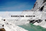 天才足球小门将谁，足坛天才门将