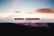 足球运动员（足球运动员英语）