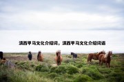滇西甲马文化介绍词，滇西甲马文化介绍词语