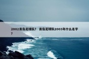 2002青岛足球队？ 青岛足球队2003年什么名字？