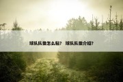 球队队徽怎么粘？ 球队队徽介绍？