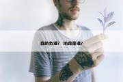 森纳负谁？ 纳森是谁？