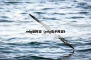 edg偷阵容（edg选手阵容）