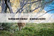 匈牙利欧洲杯不限观众？ 欧洲杯巡礼匈牙利？