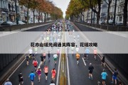花亦山瑶光阁通关阵容，花瑶攻略