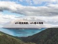 ufc球员海报，ufc格斗海报