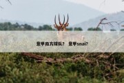 意甲南方球队？ 意甲snai？