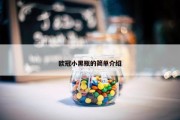 欧冠小黑瓶的简单介绍