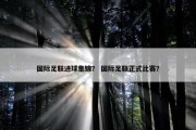 国际足联进球集锦？ 国际足联正式比赛？