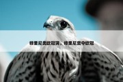穆里尼奥欧冠哭，穆里尼奥夺欧冠