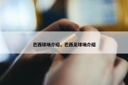 巴西球场介绍，巴西足球场介绍