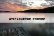 西甲各个足球队球衣号码？ 西甲球队球服？