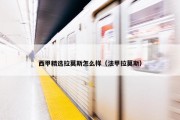西甲精选拉莫斯怎么样（法甲拉莫斯）