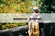 曼联组潜艇小组？ 曼联潜在教练？