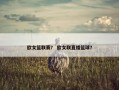 欧女篮联赛？ 欧女联直播篮球？