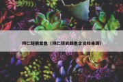 拜仁短裤紫色（拜仁球衣颜色含义和来源）
