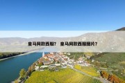 皇马同款西服？ 皇马同款西服图片？