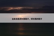 全身白色切尔西鞋子，切尔西的鞋子