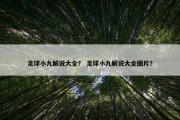 足球小九解说大全？ 足球小九解说大全图片？