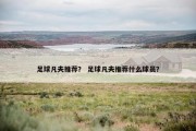 足球凡夫推荐？ 足球凡夫推荐什么球员？