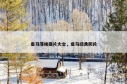 皇马落魄图片大全，皇马经典照片