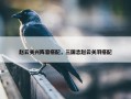 赵云关兴阵容搭配，三国志赵云关羽搭配