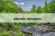 曼联射手穆帅（穆帅为曼联签约）