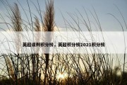 英超误判积分榜，英超积分榜2021积分榜