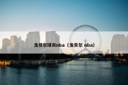 戈贝尔球衣nba（戈贝尔 nba）