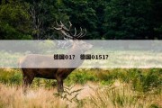 德国01？ 德国0151？