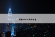 关于bies球员的信息