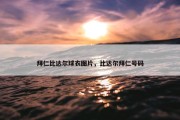 拜仁比达尔球衣图片，比达尔拜仁号码