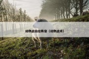 动物战白给阵容（动物战术）