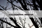nbalive季后赛字母哥，季前赛字母哥